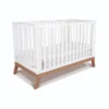 Pali Italy Donatello Convertible Crib
